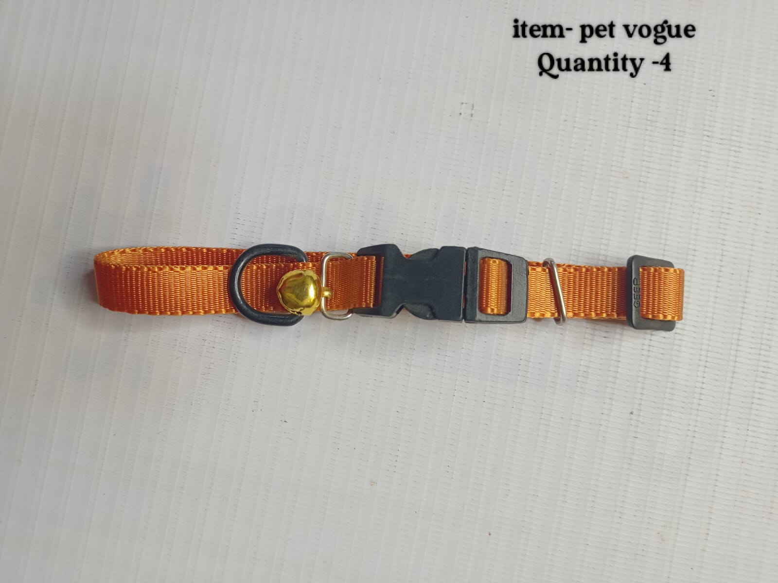 PET-VOGUE-P1