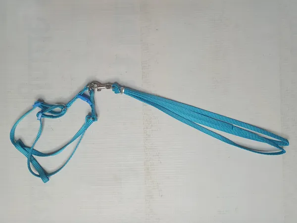 single-collar-set-2-f11