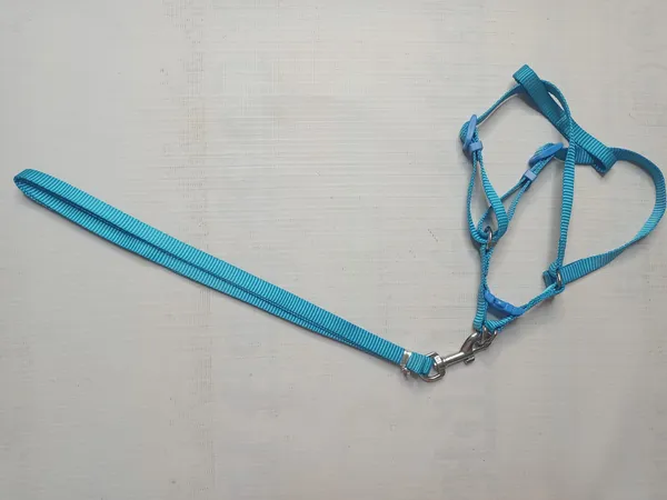 single-collar-set-3-a11