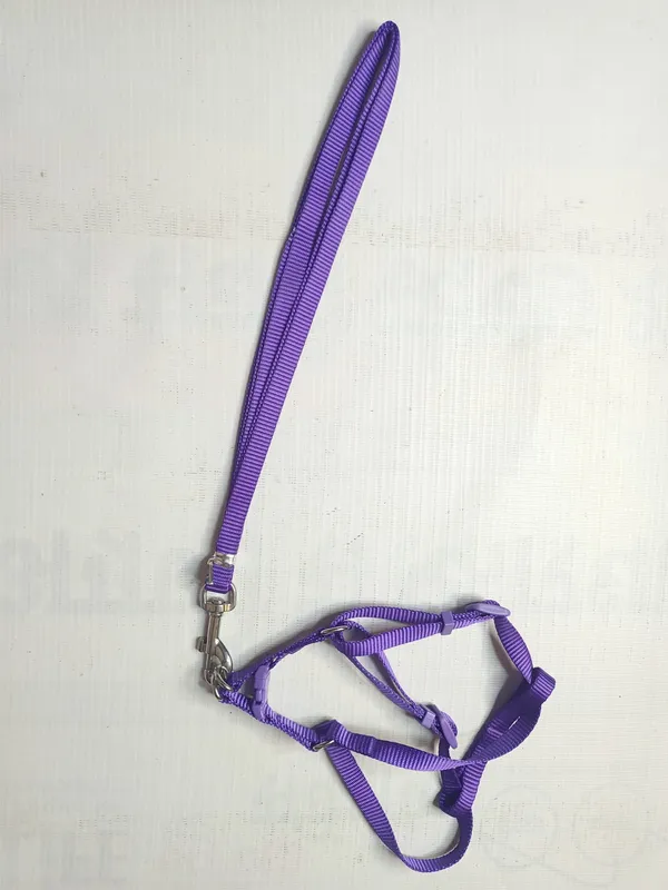 SINGLE_COLLAR_SET