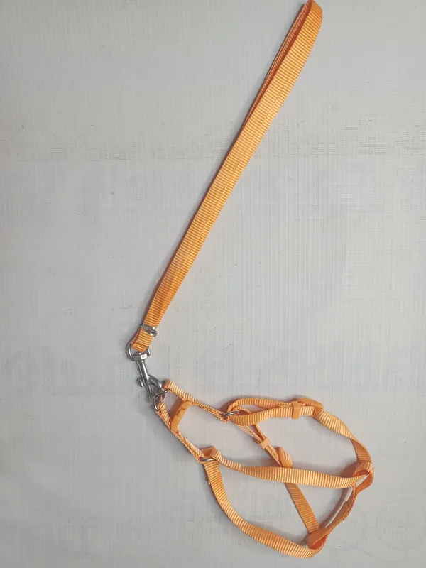 single-collar-set-3-a6