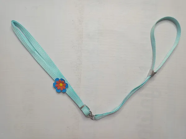 sonflower-col-set-2-set2