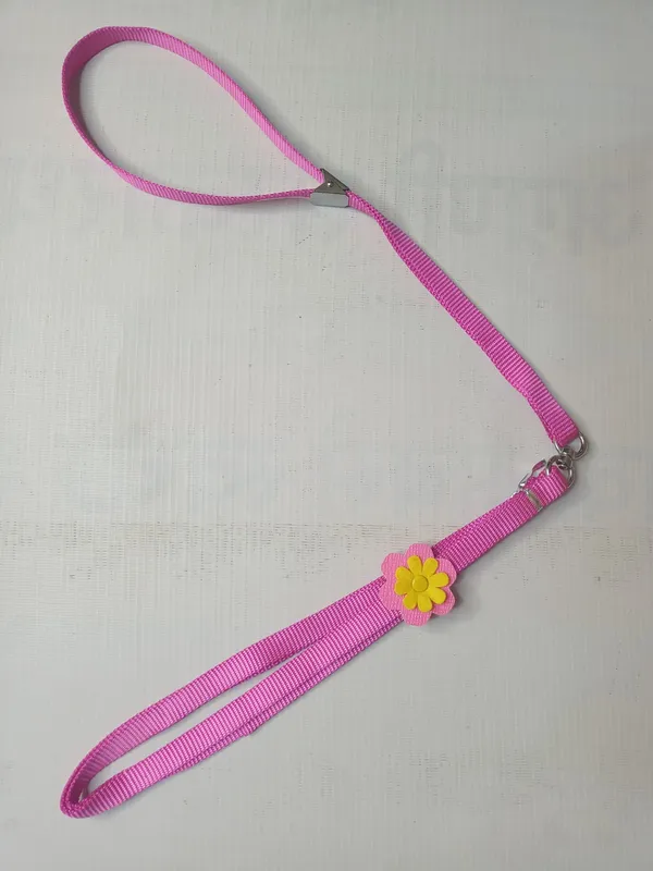 sonflower-col-set-2-set5