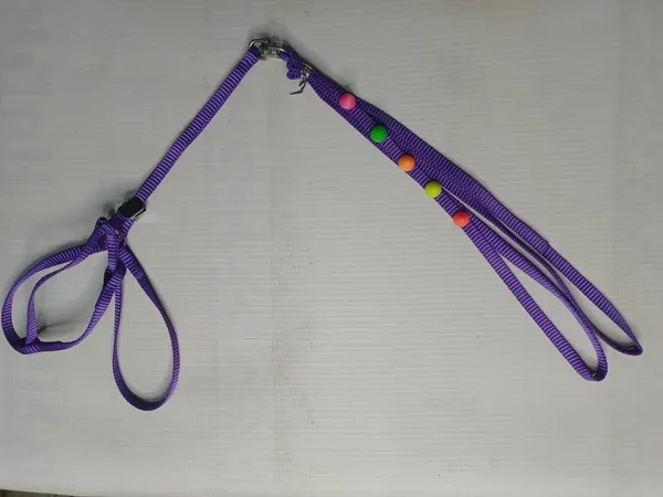 harness-set-f4