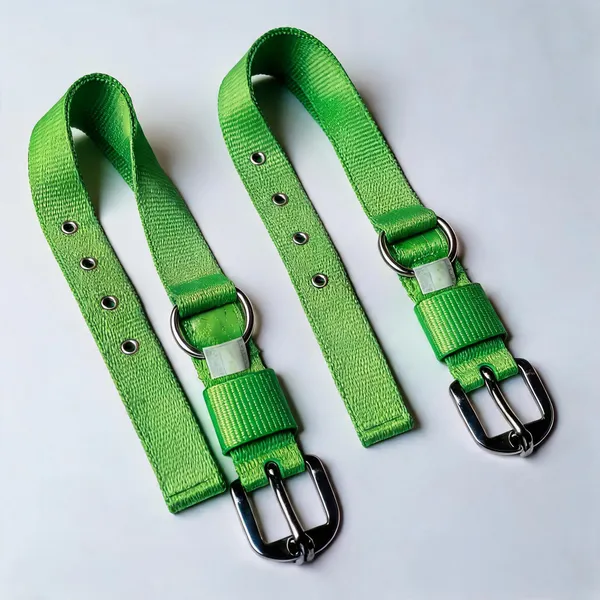 Green_Nylon_Adjustable_Dog_Collar_With_Metal_Hardware_-_Pack_of_2