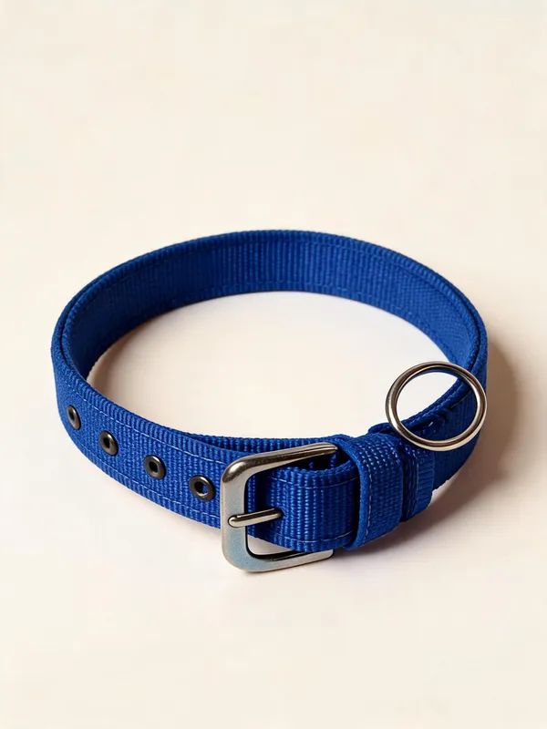 Blue_Woven_Nylon_Adjustable_Dog_Collar_-_Pack_of_2