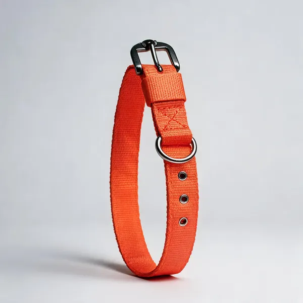 Orange_Nylon_Adjustable_Dog_Collar_With_Metal_Hardware_-_Pack_of_2