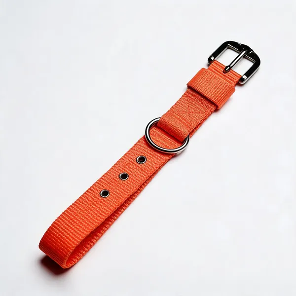 Orange_Nylon_Adjustable_Dog_Collar_With_Metal_Hardware_-_Pack_of_2