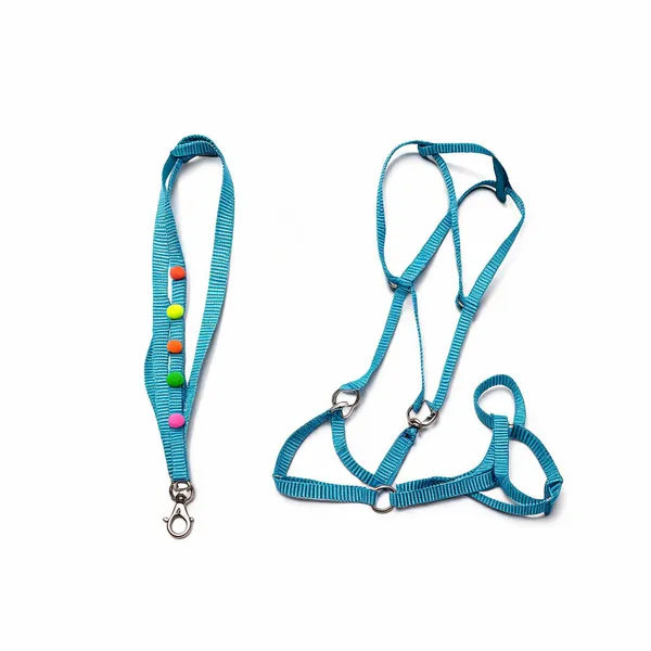 Blue_Nylon_Bead-Accent_Dog_Harness_Set_With_Leash_-_Pack_of_2