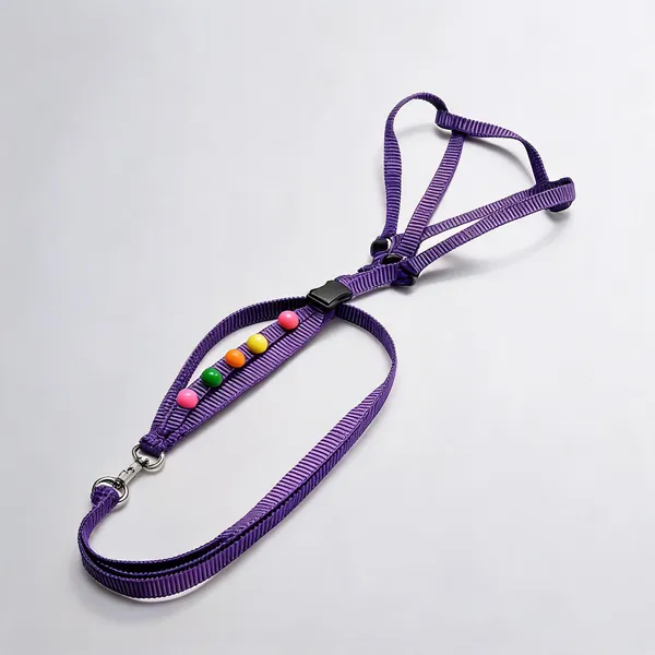 Purple_Rope_Nylon_Dog_Harness_And_Leash_Set_-_Pack_of_2