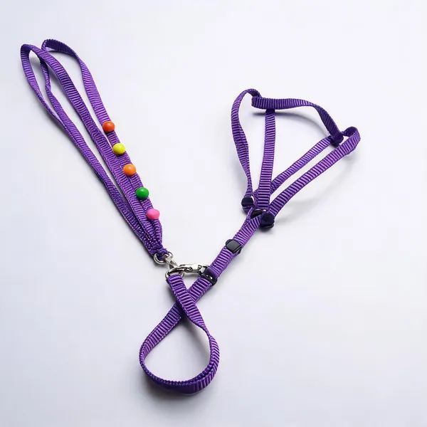 Purple_Rope_Nylon_Dog_Harness_And_Leash_Set_-_Pack_of_2