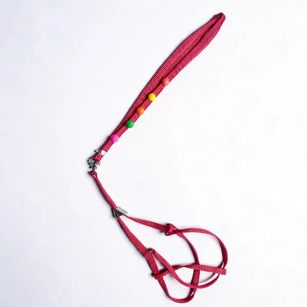 Pink_Braided_Nylon_Dog_Harness_And_Leash_Set_-_Pack_of_2