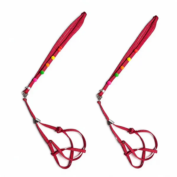 Nylon_Braided_Harness_And_Leash_Set_For_Dogs_Red_-_Pack_of_2