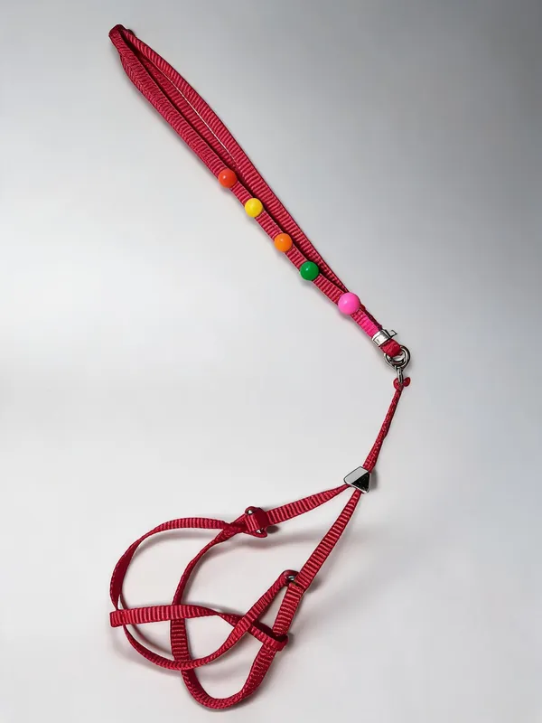 Nylon_Braided_Harness_And_Leash_Set_For_Dogs_Red_-_Pack_of_2