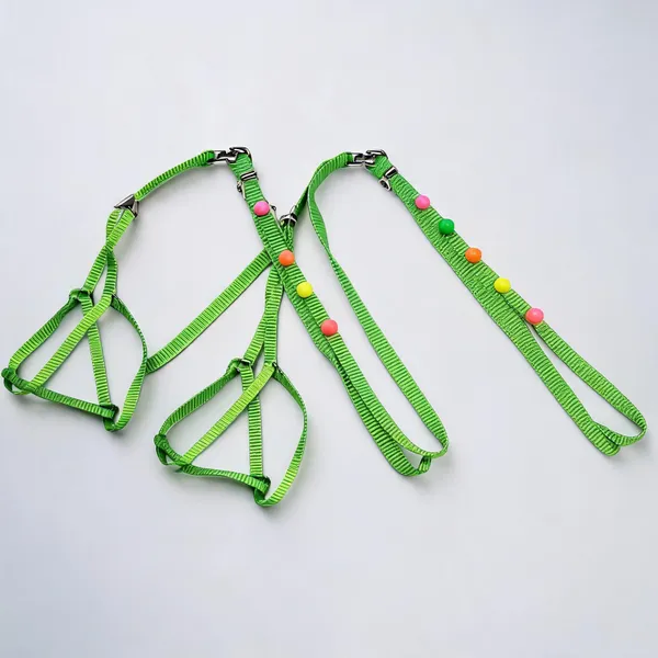 Green_Nylon_Dome_Button_Dog_And_Cat_Harness_Set_-_Pack_of_2