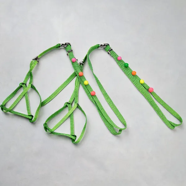 Green_Nylon_Dome_Button_Dog_And_Cat_Harness_Set_-_Pack_of_2
