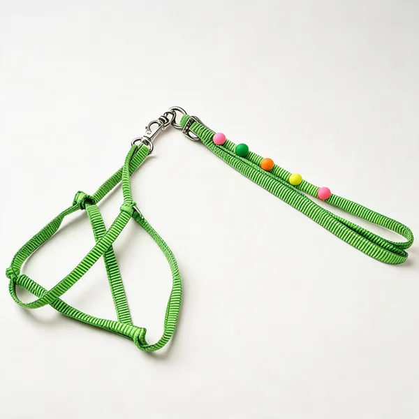 Green_Nylon_Dog_Harness_And_Leash_Set_With_Round_Accents_-_Pack_of_2
