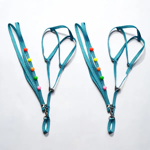 Blue_Nylon_Dog_Harness_Set_With_Beaded_Leash_-_Pack_of_2