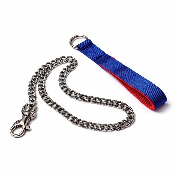 Blue_Nylon_And_Chain_Dog_Leash_With_Loop_Handle