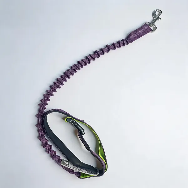Purple_Nylon_Bungee_Shock_Absorbing_Dog_Leash