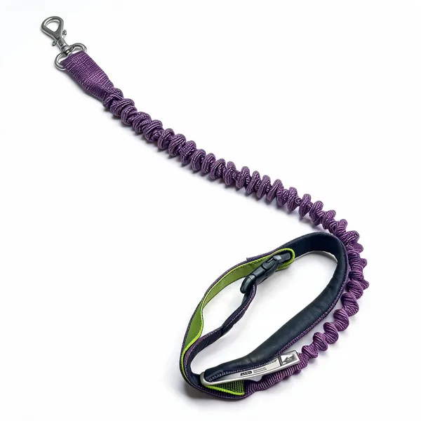 Purple_Nylon_Bungee_Shock_Absorbing_Dog_Leash