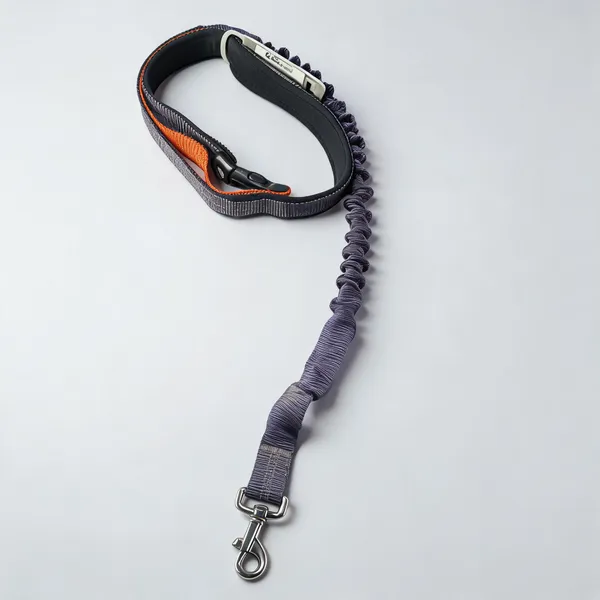 Navy_Blue_Orange_Nylon_Dog_Leash_With_Swivel_Clasp
