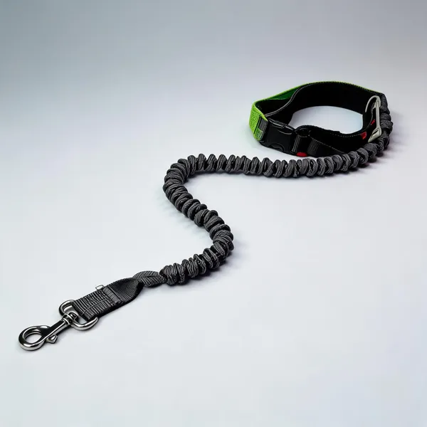 Black_Nylon_Coiled_Shock-Absorbing_Dog_Leash