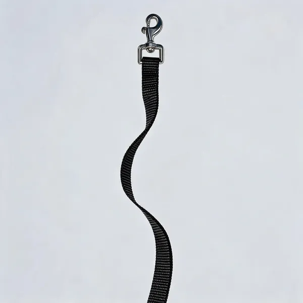 Black_Nylon_Woven_Dog_Leash_With_Metal_Clip_-_Pack_of_3
