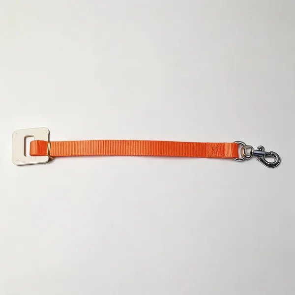 Orange_Nylon_Dog_Leash_With_Swivel_Metal_Hook_-_Pack_of_2