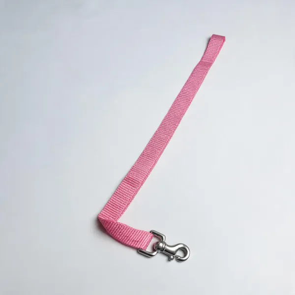 Pink_Nylon_Dog_Leash_With_Swivel_Snap_Hook_-_Pack_of_3