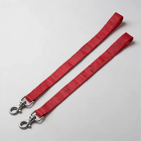 Red_Nylon_Dog_Leash_With_Swivel_Snap_Hook_-_Pack_of_2