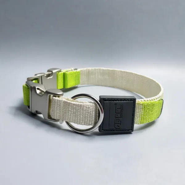 Nylon_Green_Accent_Adjustable_LED_Light_Collar_For_Pets
