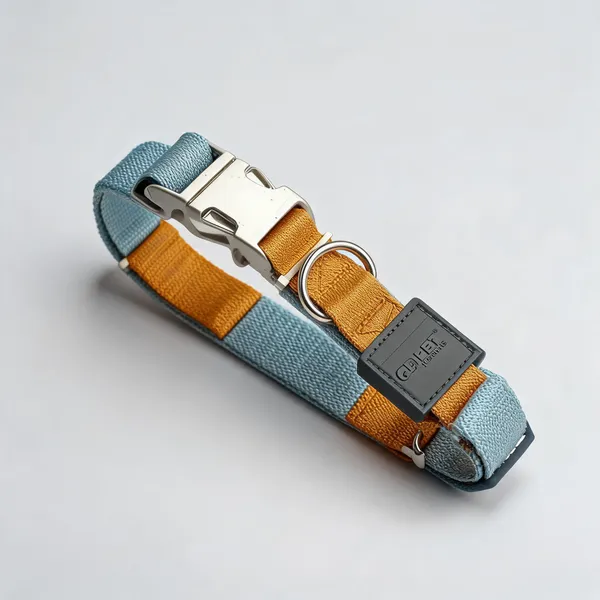 Yellow_Blue_Nylon_Adjustable_Metal_Hook_Dog_And_Cat_Collar