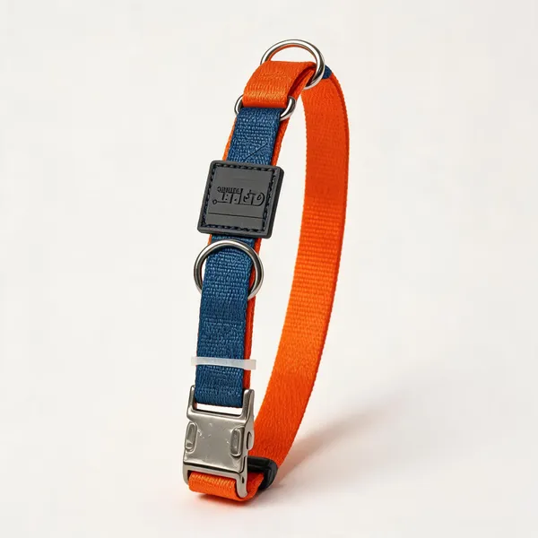 Blue_Orange_Nylon_Dog_And_Cat_Collar_With_ID_Card_Holder