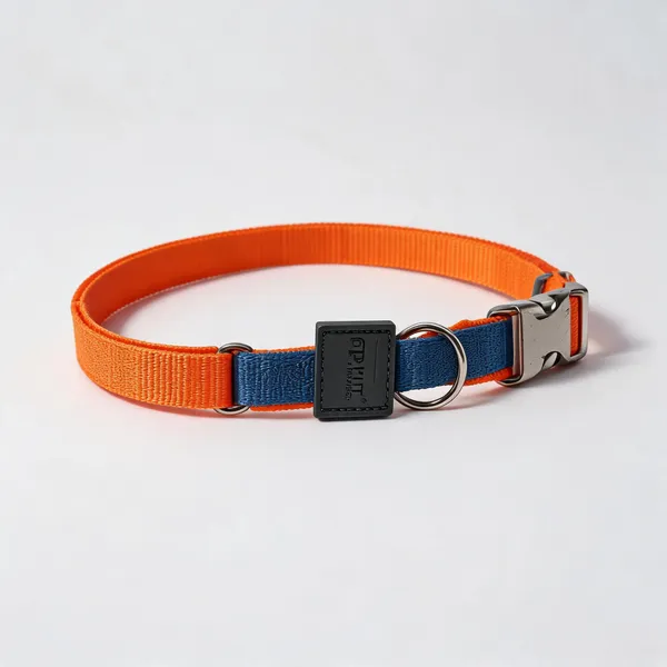 Blue_Orange_Nylon_Dog_And_Cat_Collar_With_ID_Card_Holder