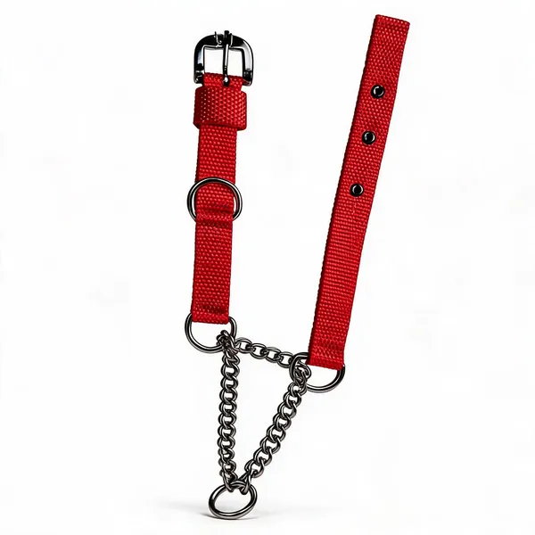 Red_Nylon_Choke_Dog_Collar_With_Chain_And_Metal_Hardware