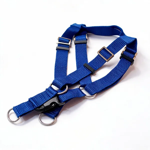 Blue_Nylon_Adjustable_Multi-Strap_Dog_Harness_Set