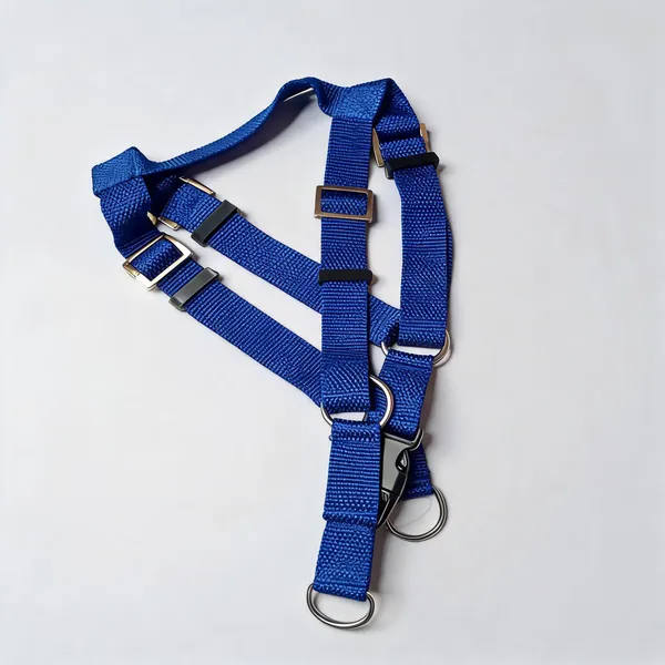 Blue_Nylon_Adjustable_Multi-Strap_Dog_Harness_Set