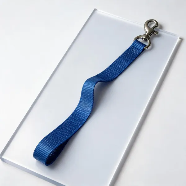 Blue_Nylon_Dog_Leash_With_Metal_Snap_Hook_-_Pack_of_4