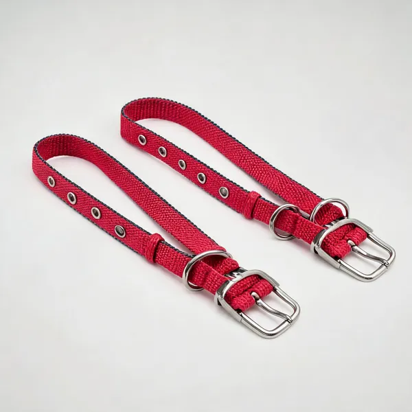 Red_Nylon_Padded_Buckle_Dog_Collar_-_Pack_of_2