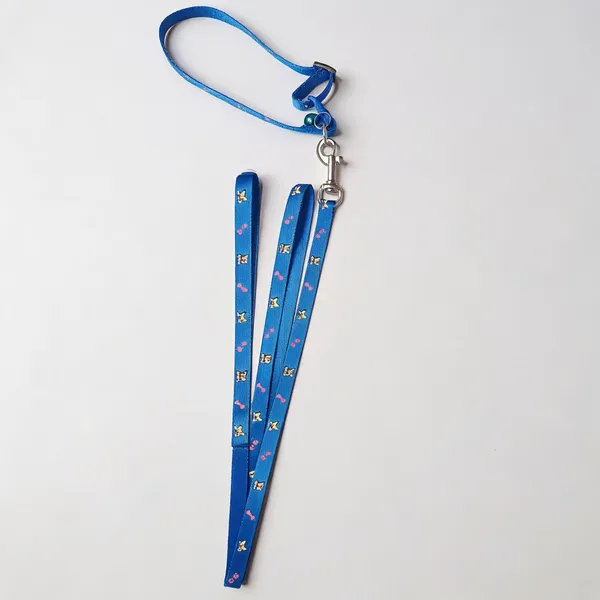 Blue_Nylon_Printed_Dog_Collar_And_Leash_Set_-_Pack_of_2