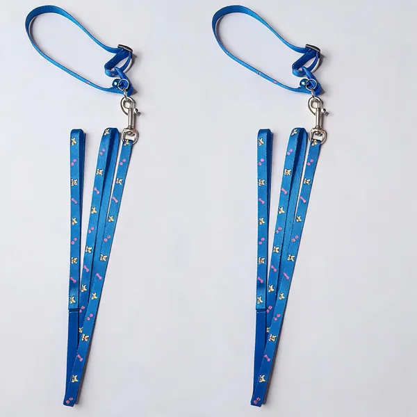 Blue_Nylon_Printed_Dog_Collar_And_Leash_Set_-_Pack_of_2