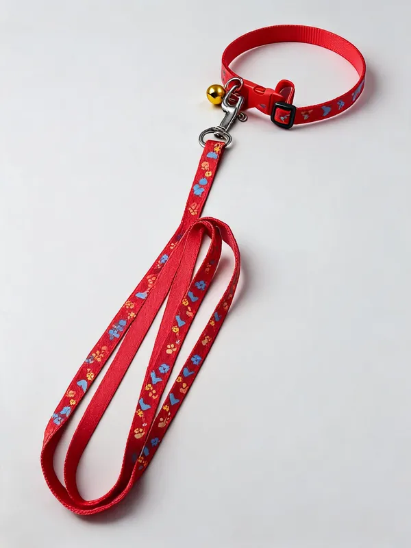 Nylon_Red_Floral_Print_Dog_Collar_And_Leash_Set_-_Pack_of_2