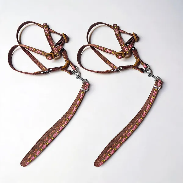 Brown_Printed_Nylon_Dog_Harness_And_Leash_Set_-_Pack_of_2