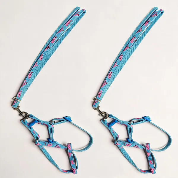 Blue_Pink_Printed_Nylon_Dog_Harness_And_Leash_Set_-_Pack_of_2