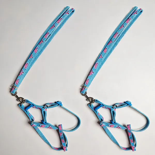 Blue_Pink_Printed_Nylon_Dog_Harness_And_Leash_Set_-_Pack_of_2