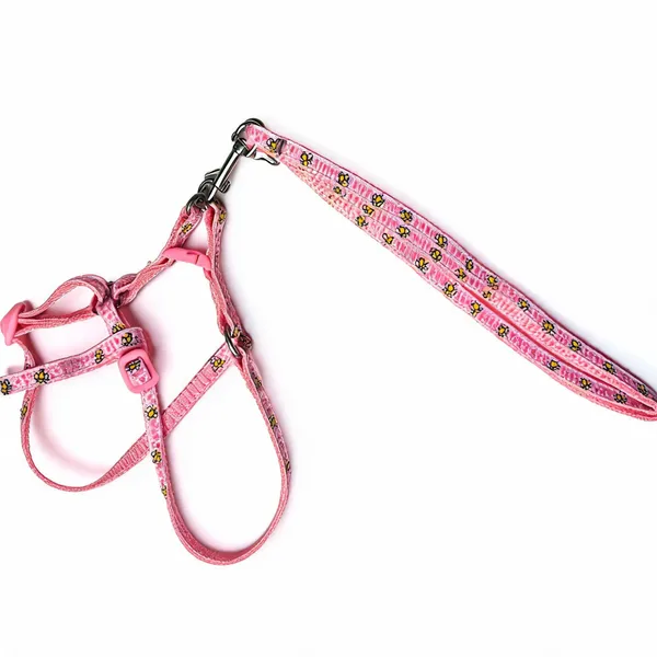 Pink_Floral_Nylon_Dog_Harness_And_Leash_Set_-_Pack_of_2
