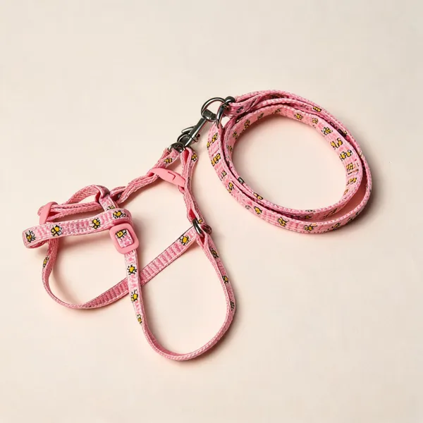 Pink_Floral_Nylon_Dog_Harness_And_Leash_Set_-_Pack_of_2