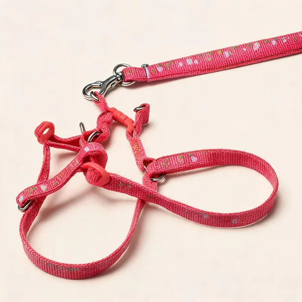 Pink_Printed_Nylon_Dog_Harness_And_Leash_Set_-_Pack_of_2