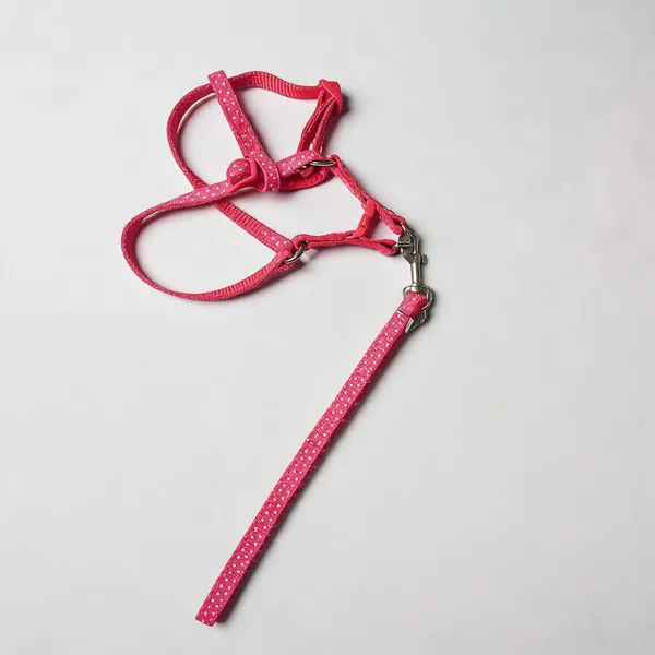 Pink_Polka_Dot_Nylon_Harness_&_Leash_Set_For_Dogs_-_Pack_of_2
